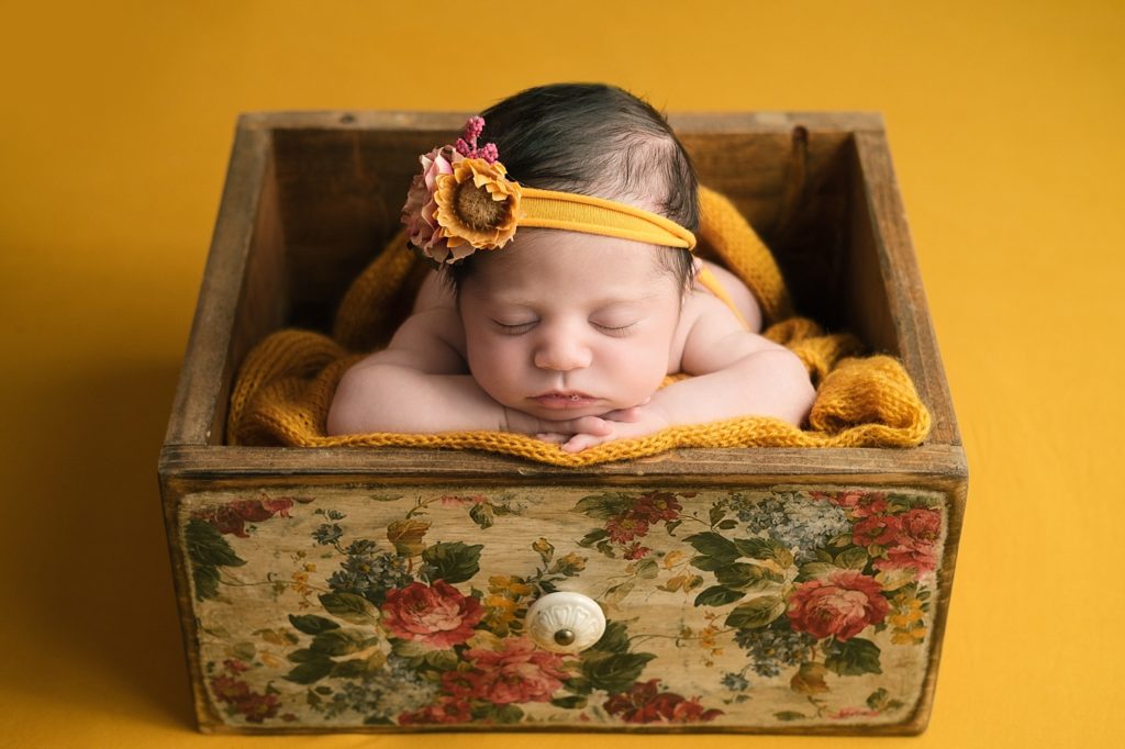 Michigan Newborn Photographer