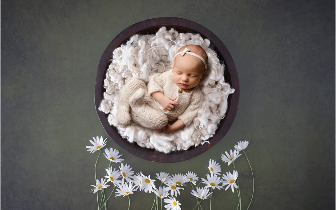 Chesterfield Newborn Photos | Daisy