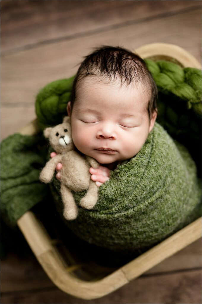 Royal oak newborn photographer