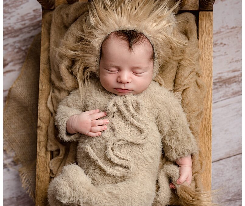 Newborn in a Lion Outfit | Leo